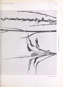 n168_w1150