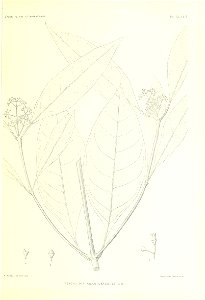 n334_w1150