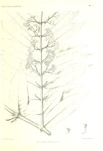 n108_w1150