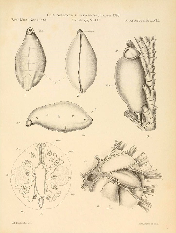 n196_w1150