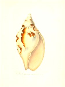 n150_w1150