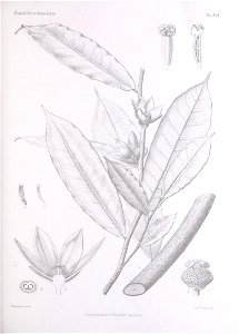 n196_w1150