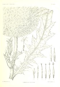 n362_w1150