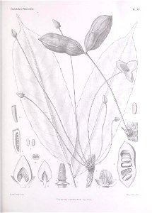 n194_w1150