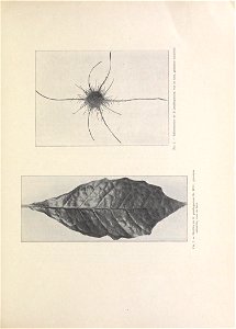 n82_w1150