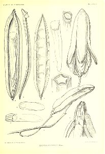 n542_w1150