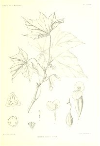 n134_w1150