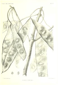 n104_w1150