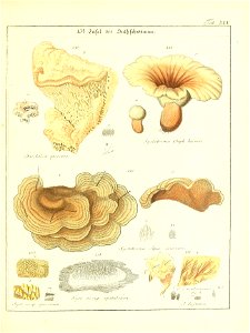 n68_w1150