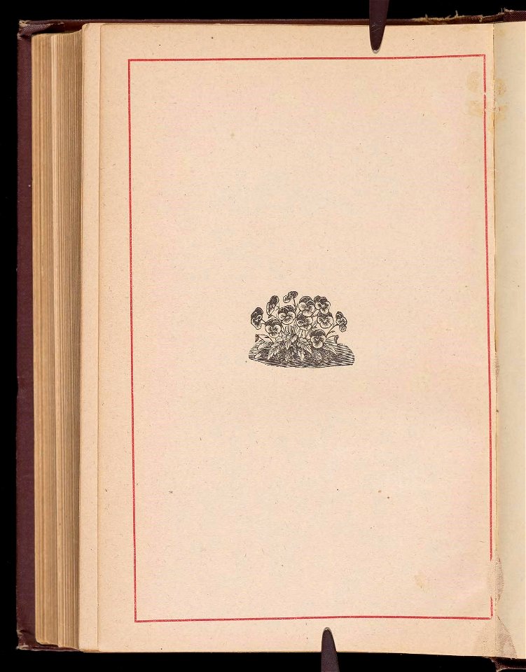 n581_w1150