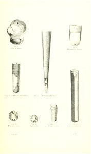 n152_w1150