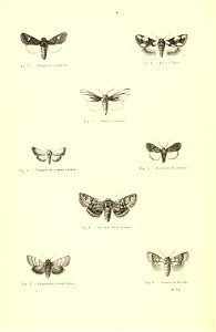 n113_w1150