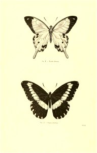 n15_w1150