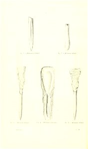n147_w1150