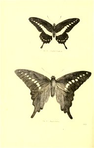 n249_w1150