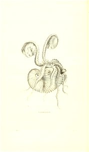 n137_w1150
