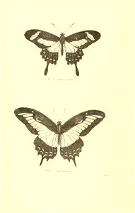 n59_w1150