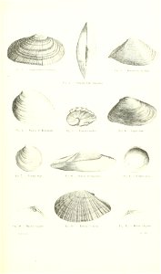 n292_w1150