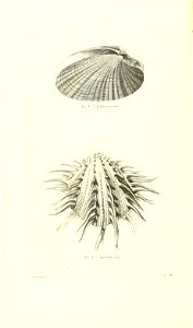 n263_w1150