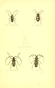 n428_w1150