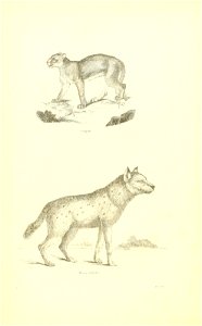 n129_w1150