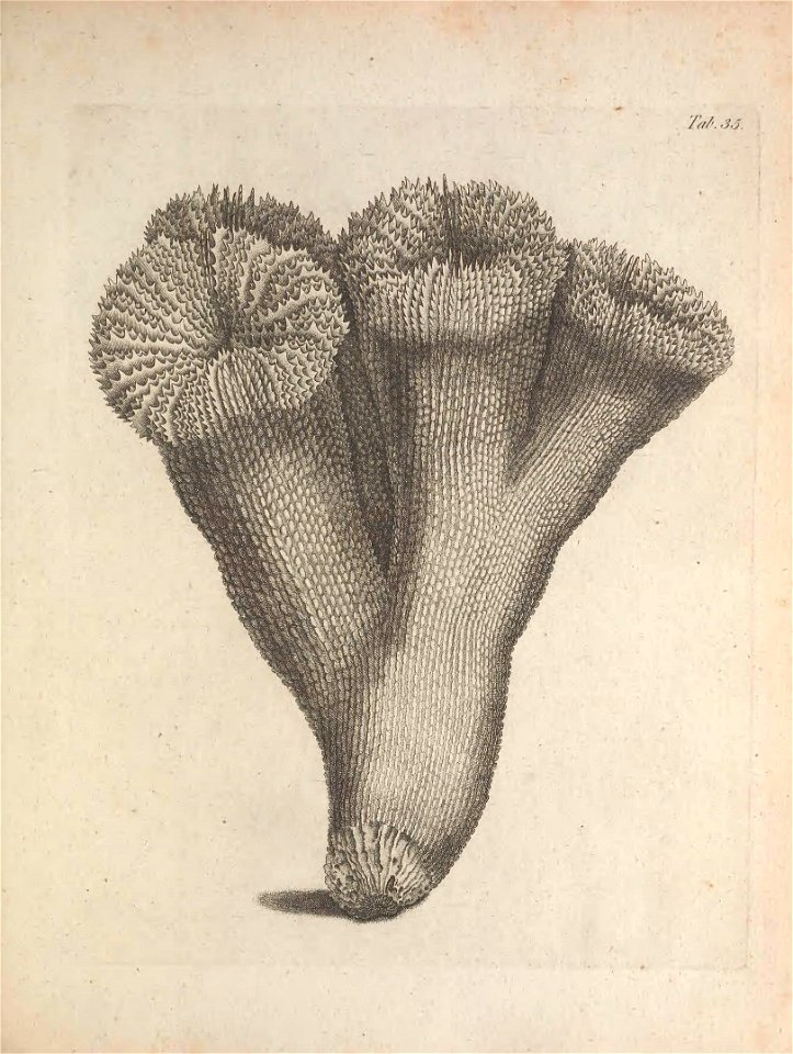 n296_w1150
