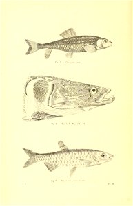 n405_w1150