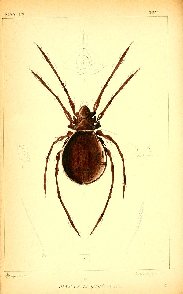n121_w1150