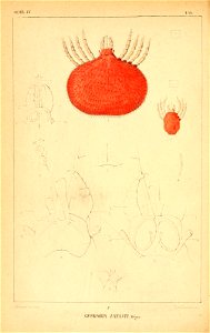 n57_w1150