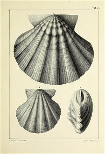 n190_w1150
