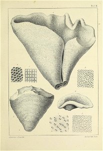 n130_w1150