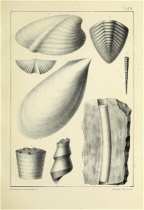n10_w1150