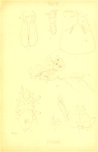 n170_w1150
