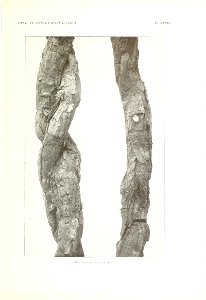 n166_w1150