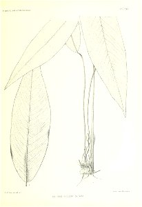 n136_w1150
