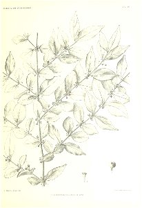 n106_w1150