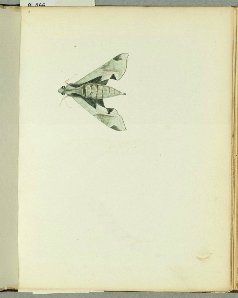 n52_w1150