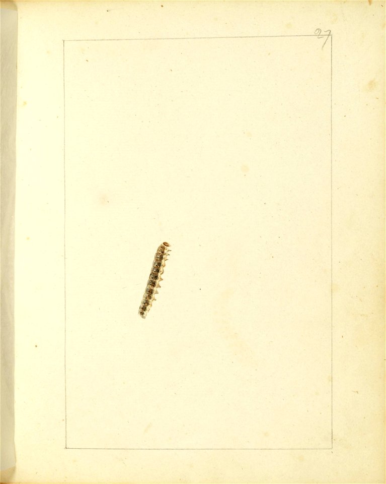n22_w1150