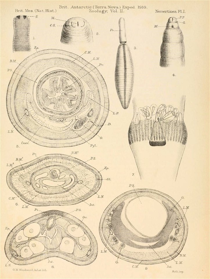 n182_w1150