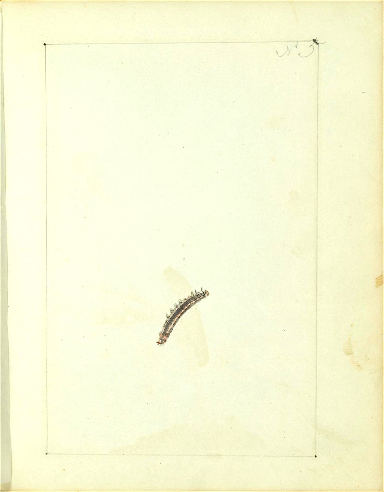 n6_w1150