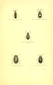 n458_w1150