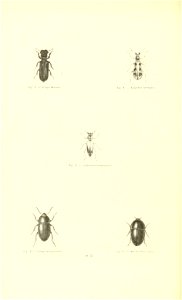 n305_w1150