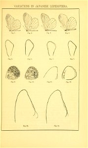 n44_w1150