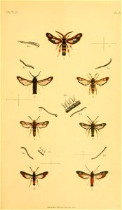 n192_w1150