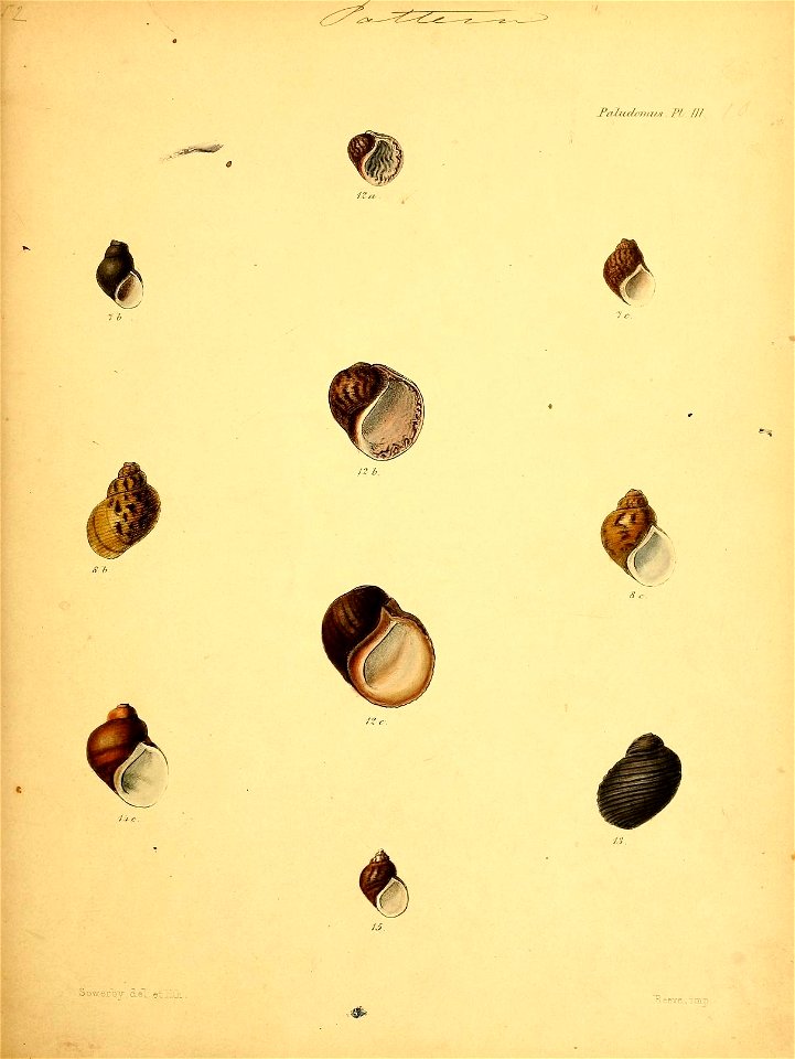 n586_w1150