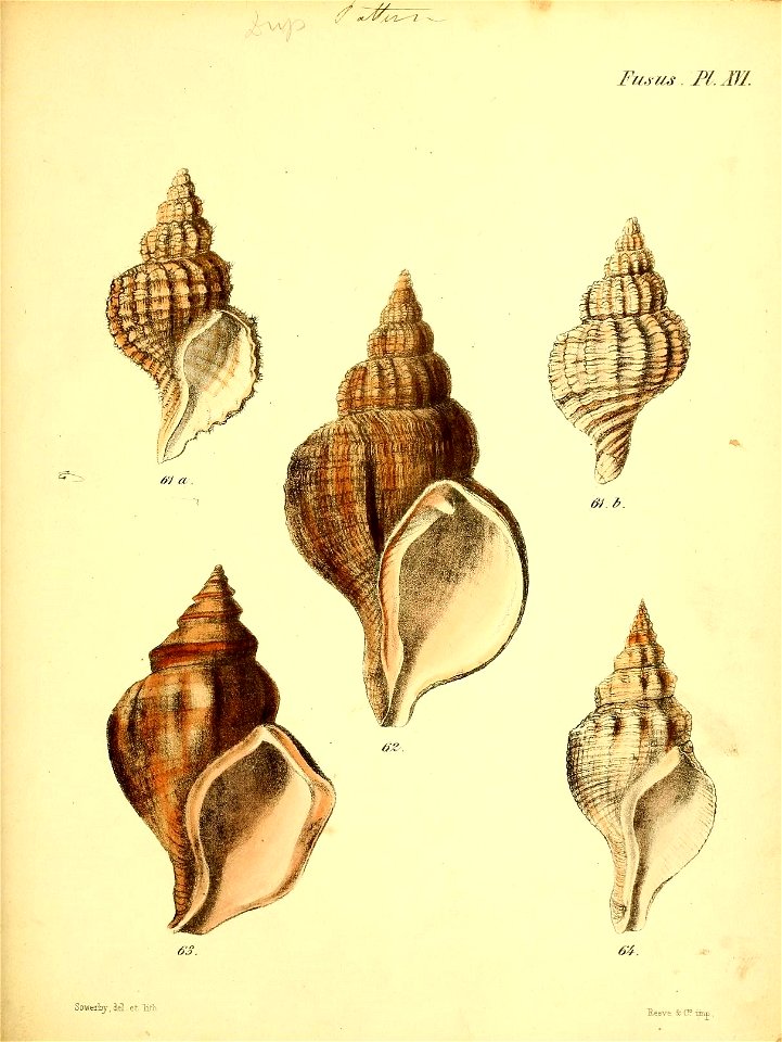 n536_w1150