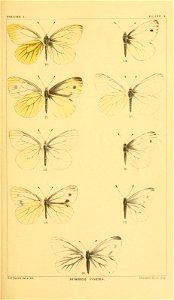 n114_w1150