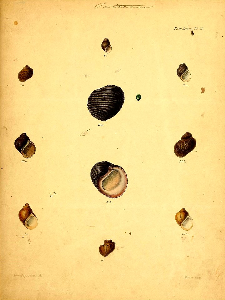 n582_w1150