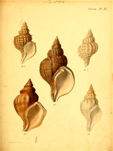 n534_w1150