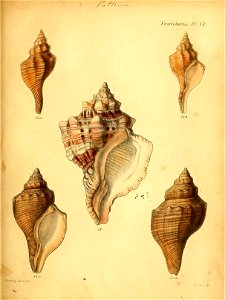 n436_w1150